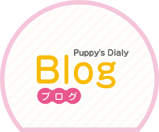 Puppy's Dialy Blog